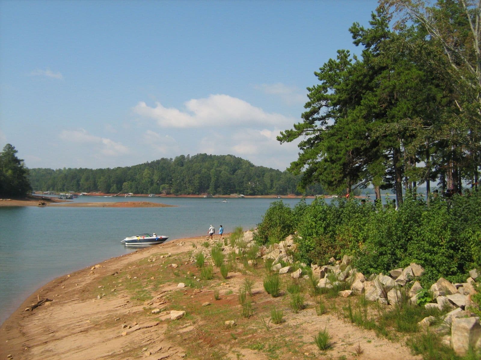 Lake Lanier shoreline at River Forks Park in Gainesville, Georgia