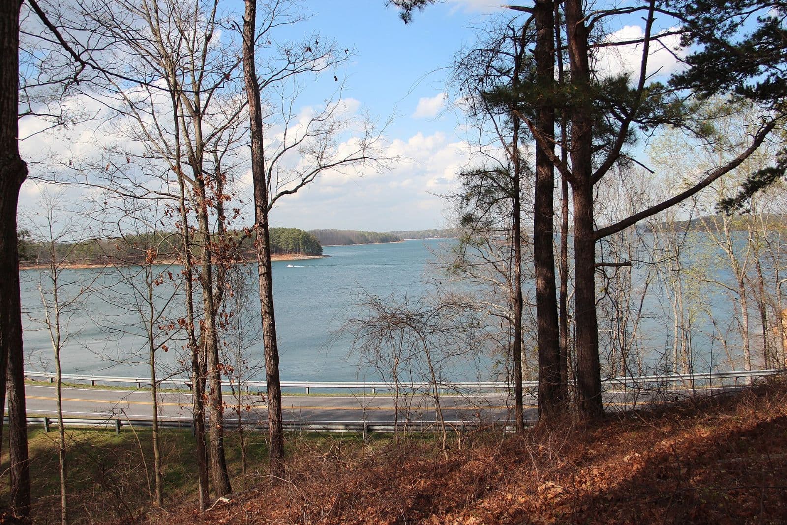 Lake Lanier shoreline and open water